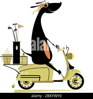 Lächelnder Hund fährt einen Roller und geht Golf spielen isoliert Illustration. Lächelnder Dackel auf dem Roller ist auf dem Weg zum Golfplatz isoliert Stock Vektor