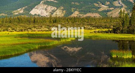 Naturlandschaften entlang des Trans-canada hwy von Calgary nach Banff, Alberta, Kanada Stockfoto