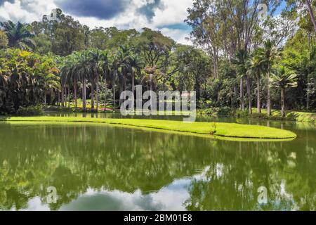 Park, Inhotim Institute, Brumadinho, Minas Gerais State, Brasilien Stockfoto