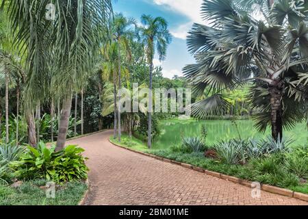 Park, Inhotim Institute, Brumadinho, Minas Gerais State, Brasilien Stockfoto