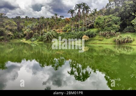 Park, Inhotim Institute, Brumadinho, Minas Gerais State, Brasilien Stockfoto