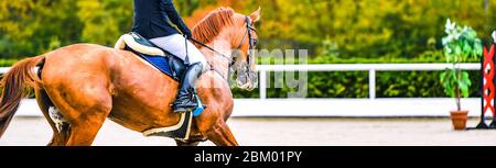 Schönes Mädchen auf Sauerampfer Pferd im Springsport, Pferdesport. Hellbraunes Pferd und Mädchen in Uniform gehen zu springen. Horizontale Webheader oder banne Stockfoto