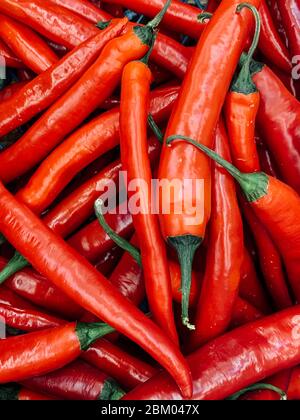 Viele reife scharfe Chilischoten zum Kochen Hintergrund Stockfoto