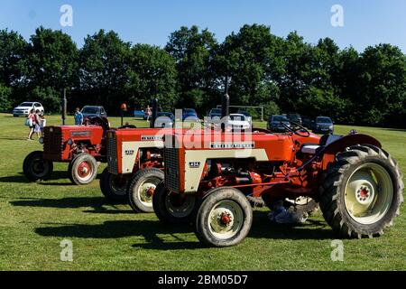 Drei klassische rote Traktoren im Cowden Village Summer Fete in Kent, Großbritannien Stockfoto