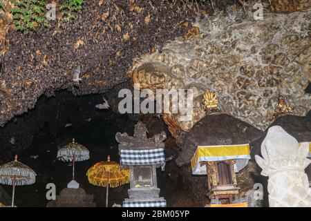 Altäre im Pura Goa Lawah oder bat Cave Temple. Balinesischer Hindu-Tempel, Klungkung, Bali, Indonesien. Einige Fledermäuse fliegen unter einem Felsüberhang. Kolonie von Fledermäusen ha Stockfoto