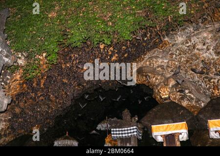 Altäre im Pura Goa Lawah oder bat Cave Temple. Balinesischer Hindu-Tempel, Klungkung, Bali, Indonesien. Einige Fledermäuse fliegen unter einem Felsüberhang. Kolonie von Fledermäusen ha Stockfoto
