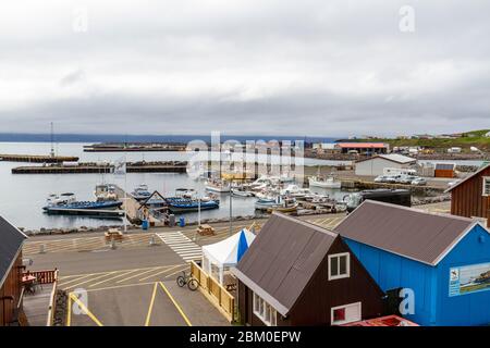 Blick über den Hafen in der beliebten Walbeobachtungsstadt Húsavík, Nordisland. Stockfoto