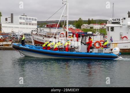 Die sanften Giants Amma Johanna RIB Schnellboot Wal Watching Boot Rückkehr von einer Reise nach Húsavík Hafen, Nordisland. Stockfoto