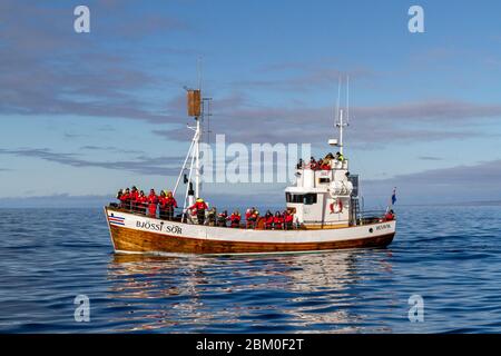 Das 'North Sailing' Bjössi Sör Whale Watching boat in Skjálfandi Bay, Husavik, Island. Stockfoto