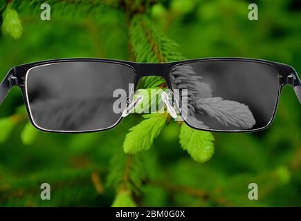 Blick durch Gläser, um Naturlandschaft mit grünen frischen Piniennadeln zu bleichen. Farbblindheit. Weltwahrnehmung während der Depression. Medizinische Conditi Stockfoto