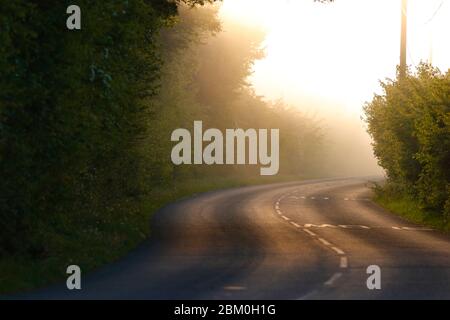 Ein stimmungsvoller nebliger Morgen auf der Newton Lane, die zwischen Allerton Bywater in West Yorkshire und Fairburn in North Yorkshire verläuft. Stockfoto