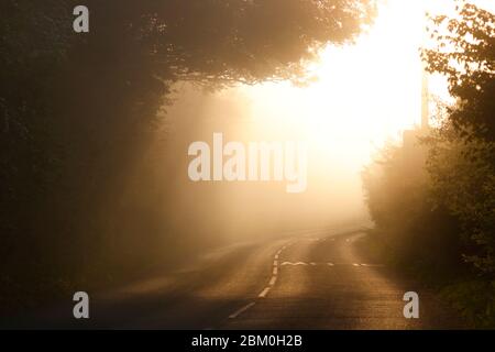 Ein stimmungsvoller nebliger Morgen auf der Newton Lane, die zwischen Allerton Bywater in West Yorkshire und Fairburn in North Yorkshire verläuft. Stockfoto