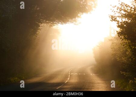 Ein stimmungsvoller nebliger Morgen auf der Newton Lane, die zwischen Allerton Bywater in West Yorkshire und Fairburn in North Yorkshire verläuft. Stockfoto