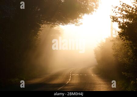 Ein stimmungsvoller nebliger Morgen auf der Newton Lane, die zwischen Allerton Bywater in West Yorkshire und Fairburn in North Yorkshire verläuft. Stockfoto