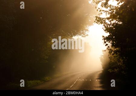 Ein stimmungsvoller nebliger Morgen auf der Newton Lane, die zwischen Allerton Bywater in West Yorkshire und Fairburn in North Yorkshire verläuft. Stockfoto