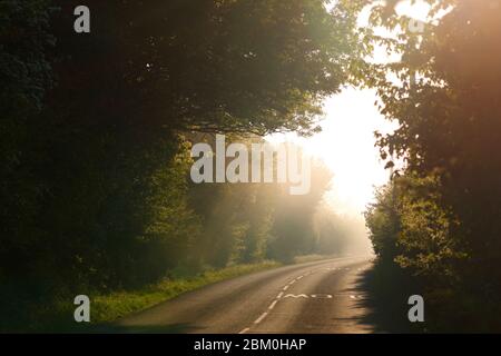 Ein stimmungsvoller nebliger Morgen auf der Newton Lane, die zwischen Allerton Bywater in West Yorkshire und Fairburn in North Yorkshire verläuft. Stockfoto