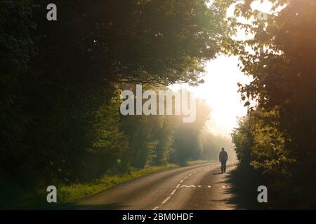 Ein Mann geht an einem nebligen Morgen im Fairburn ings Nature Reserve entlang einer Landstraße. Stockfoto