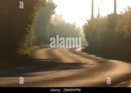 Ein stimmungsvoller nebliger Morgen auf der Newton Lane, die zwischen Allerton Bywater in West Yorkshire und Fairburn in North Yorkshire verläuft. Stockfoto