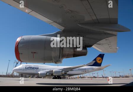 06. Mai 2020, Hessen, Frankfurt/Main: Stillgelegte Lufthansa Boeing-747-Passagierflugzeuge mit überdachten Turbinen werden am Frankfurter Flughafen abgestellt. Durch die weltweite Corona-Pandemie ist auch der Luftverkehr am Drehkreuz Frankfurt fast vollständig zusammengebrochen, Lufthansa ist in massive finanzielle Schwierigkeiten geraten. Foto: Boris Roessler/dpa Stockfoto