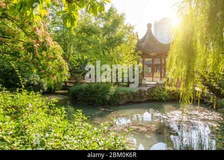 DR Sun Yat-Sen klassischer chinesischer öffentlicher Garten in Vancouver BC, Kanada Stockfoto