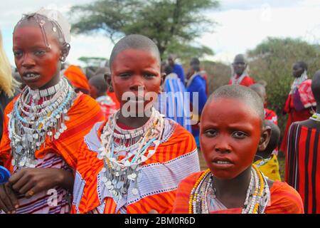 Maasai Frauen in voller traditioneller Party-Outfit, tragen Maasai Schmuck. Maasai ist eine ethnische Gruppe von halbnomadischen Menschen, die in Tansania fotografiert wurden Stockfoto