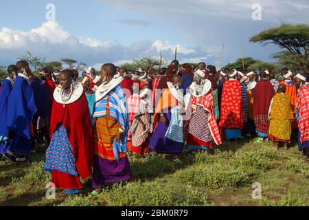 Maasai Frauen in voller traditioneller Party-Outfit, tragen Maasai Schmuck. Maasai ist eine ethnische Gruppe von halbnomadischen Menschen, die in Tansania fotografiert wurden Stockfoto