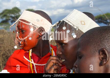 Maasai Frauen in voller traditioneller Party-Outfit, tragen Maasai Schmuck. Maasai ist eine ethnische Gruppe von halbnomadischen Menschen, die in Tansania fotografiert wurden Stockfoto