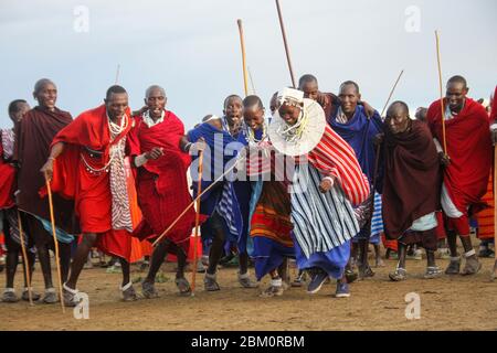 Stammestanz bei einer Maasai-Zeremonie Maasai ist eine ethnische Gruppe von halbnomadischen Menschen, die in Tansania fotografiert wurden Stockfoto