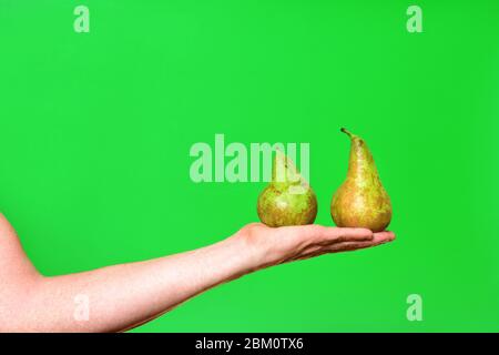 Hand hält zwei Birnen auf grünem Hintergrund Stockfoto
