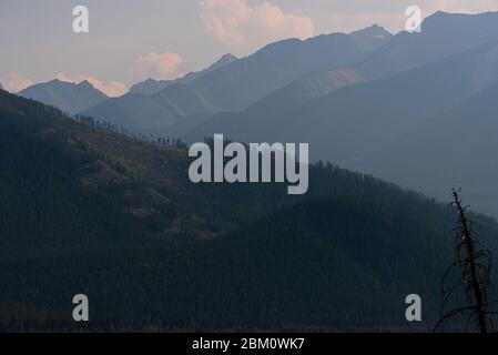 Naturlandschaften entlang der Trans-Canada Hawy, alberta, Kanada Stockfoto