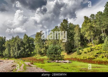 Teletskoje See, Yaylju Dorf, Altai Republik, Russland Stockfoto