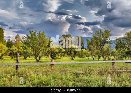 Teletskoje See, Yaylju Dorf, Altai Republik, Russland Stockfoto