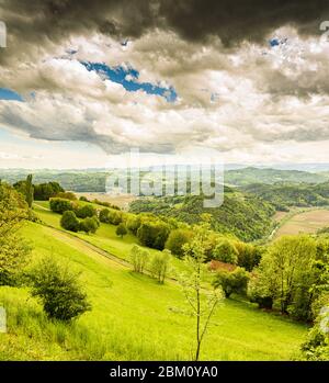 Österreich Weingärten Landschaft. Leibnitz Bereich in der Südsteiermark, Weinland Stockfoto