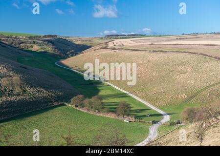 Blick auf Honey Dale, ein trockenes Tal in den Yorkshire Wolds bei Thixendale Stockfoto