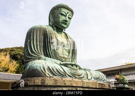 Kamakura, Japan. Ansichten des Großen Buddha (Daibutsu), große Bronzestatue, die Amida Buddha (Amitabha) im buddhistischen Tempel Kotoku-in darstellt Stockfoto