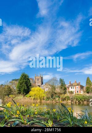 Frühling am Ufer des Flusses Wye Hereford mit seinem Kathedralenturm. Herefordshire, Großbritannien. März 2020 Stockfoto