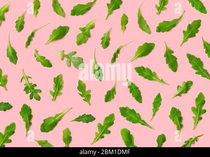 Buntes Muster aus frischen Rucola- oder Rucola-Blättern auf rosa Hintergrund. Draufsicht Stockfoto
