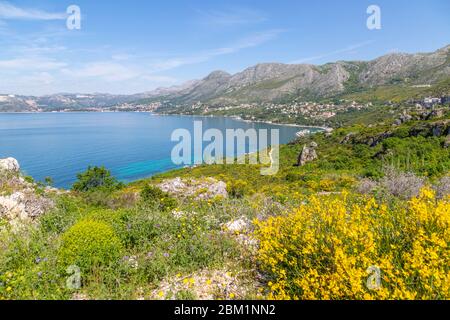 Blick auf die Ägäis in Richtung Dubrovnik von Cavtat an einem sonnigen Frühlingstag, Dunave, Kroatien, Europa Stockfoto