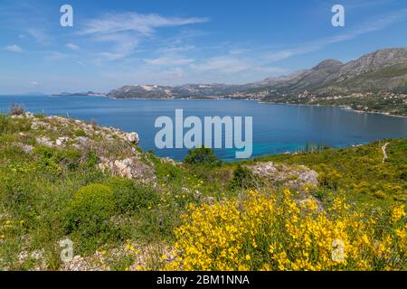 Blick auf die Ägäis in Richtung Dubrovnik von Cavtat an einem sonnigen Frühlingstag, Dunave, Kroatien, Europa Stockfoto