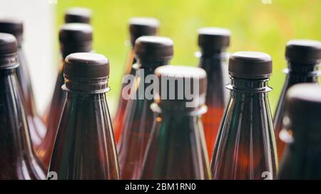 Hausgemachtes Bier nach der sekundären Gärung, trinkfertig Stockfoto