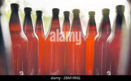 Hausgemachtes Bier nach der sekundären Gärung, trinkfertig Stockfoto