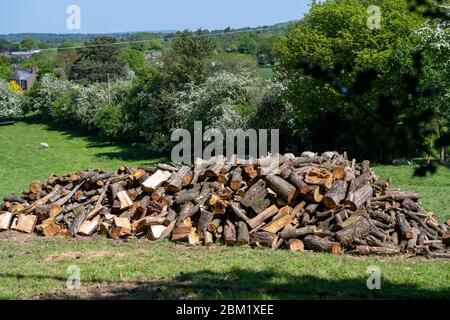 Großer Stapel von Spaltholz, die im Sommer auf dem Feld in der englischen Landschaft trocknen. Stockfoto