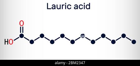 Laurinsäure, Dodecansäure, C12H24O2-Molekül. Es ist eine gesättigte Fettsäure. Vektorgrafik Stock Vektor