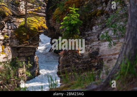 Naturlandschaften entlang des Trans-canada hwy von Calgary nach Banff, Alberta, Kanada Stockfoto