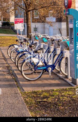 Charlotte, NC/USA - 26. Dezember 2019: Vertikale Aufnahme von öffentlichen Leihfahrrädern im Freien in einem Fahrradträger - sicherer Transport während der COVID-19. Stockfoto