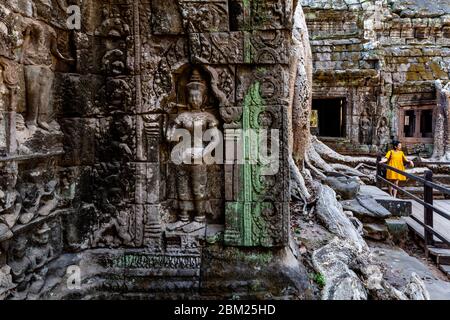 Ta Prohm Tempel, Angkor Wat Tempel Komplex, Siem Reap, Kambodscha. Stockfoto