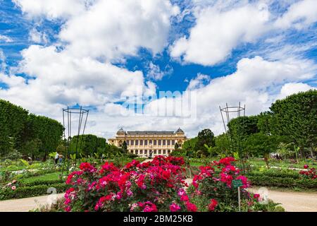 Panorama der Großen Galerie der Evolution im Nationalmuseum von Naturgeschichte Stockfoto
