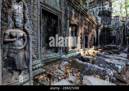Bas Reliefs Im Ta Prohm Tempel, Angkor Wat Tempel Komplex, Siem Reap, Kambodscha. Stockfoto