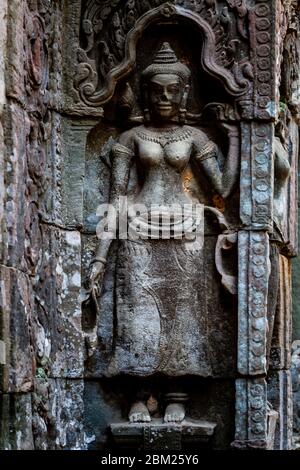 Bas Reliefs Im Ta Prohm Tempel, Angkor Wat Tempel Komplex, Siem Reap, Kambodscha. Stockfoto