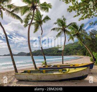 Angelboote/Fischerboote am tropischen Strand Stockfoto